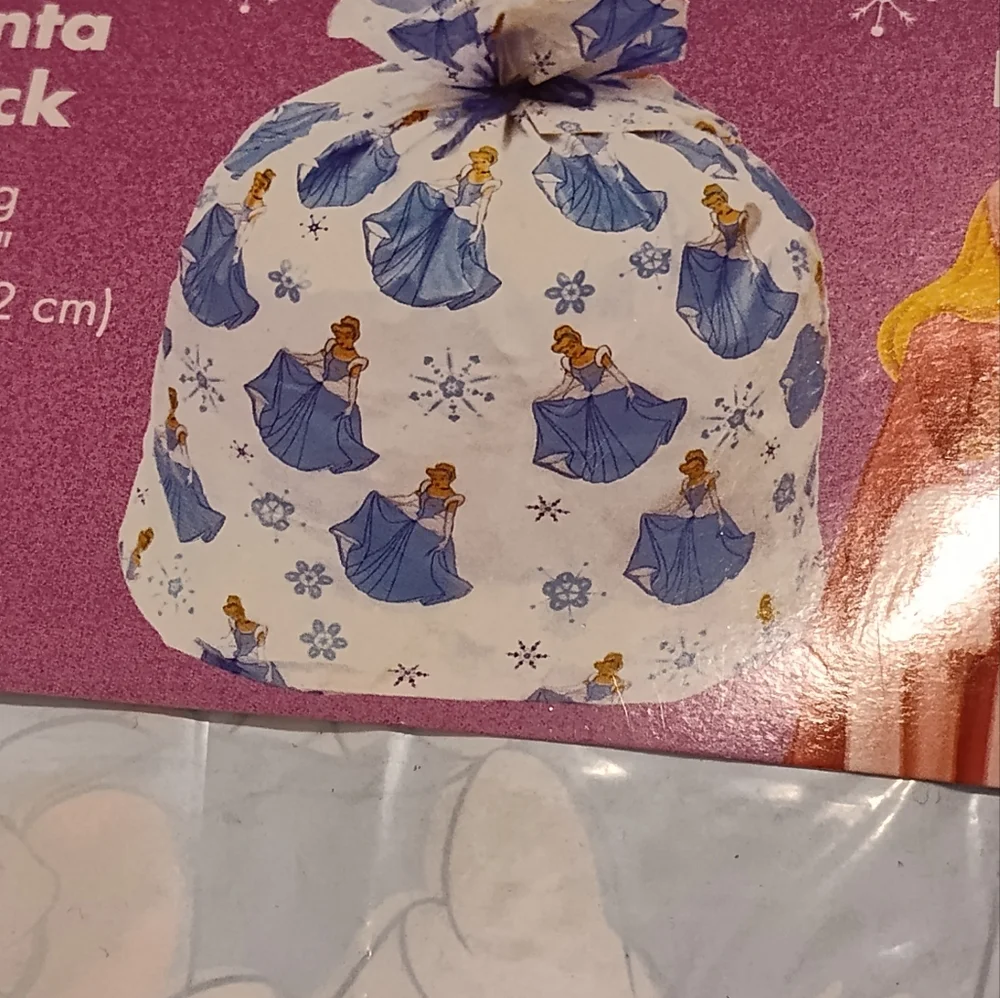 NWT! Cinderella Santa Bag